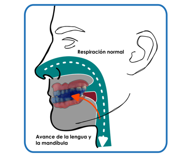 respiración normal y avance de la lengua