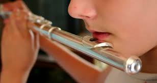 Instrumento de viento